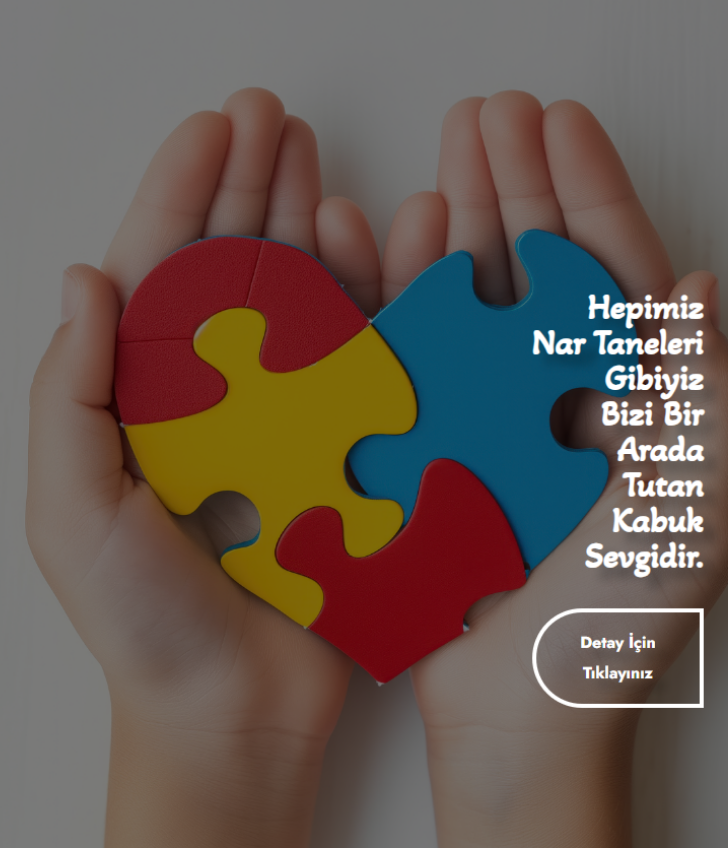 Nar Taneleri Özel Eğitim Merkezi
